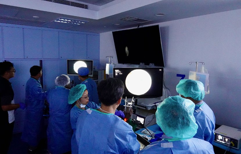 HK Wrist Course 2024 - Workshops  - 113 of 241